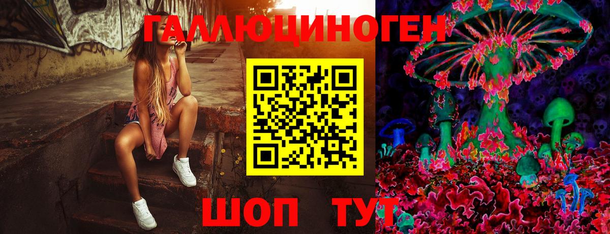 Семилуки  Псилоцибиновые грибы Cubensis  Вход с VPN 