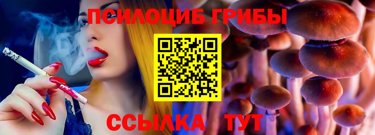 Галлюциногенные грибы Cubensis Семилуки